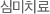 심미치료